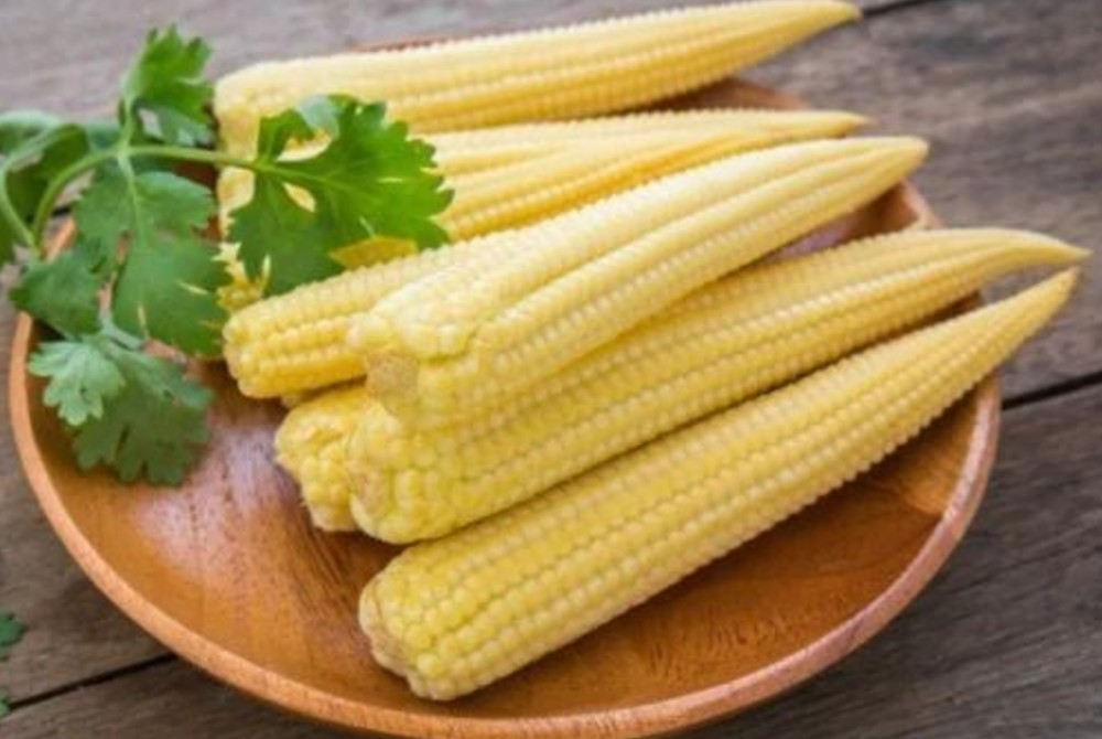 baby corn noida baby corn noida