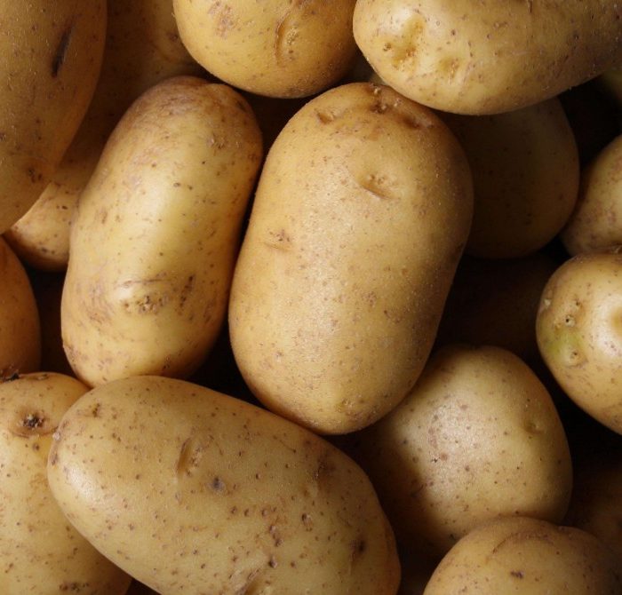noida potatoes 2