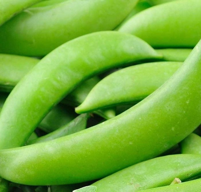 sugar snap peas noida