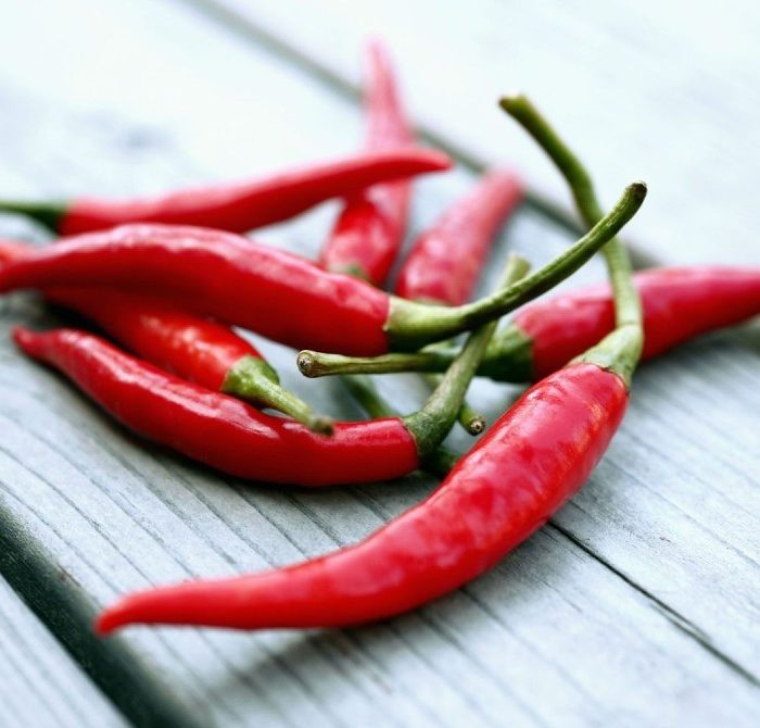 thai chili noida